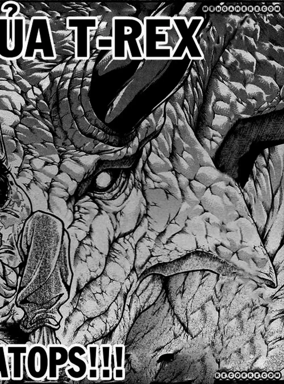 Truyện Tranh Baki - Con Trai Của Quỷ trang 5