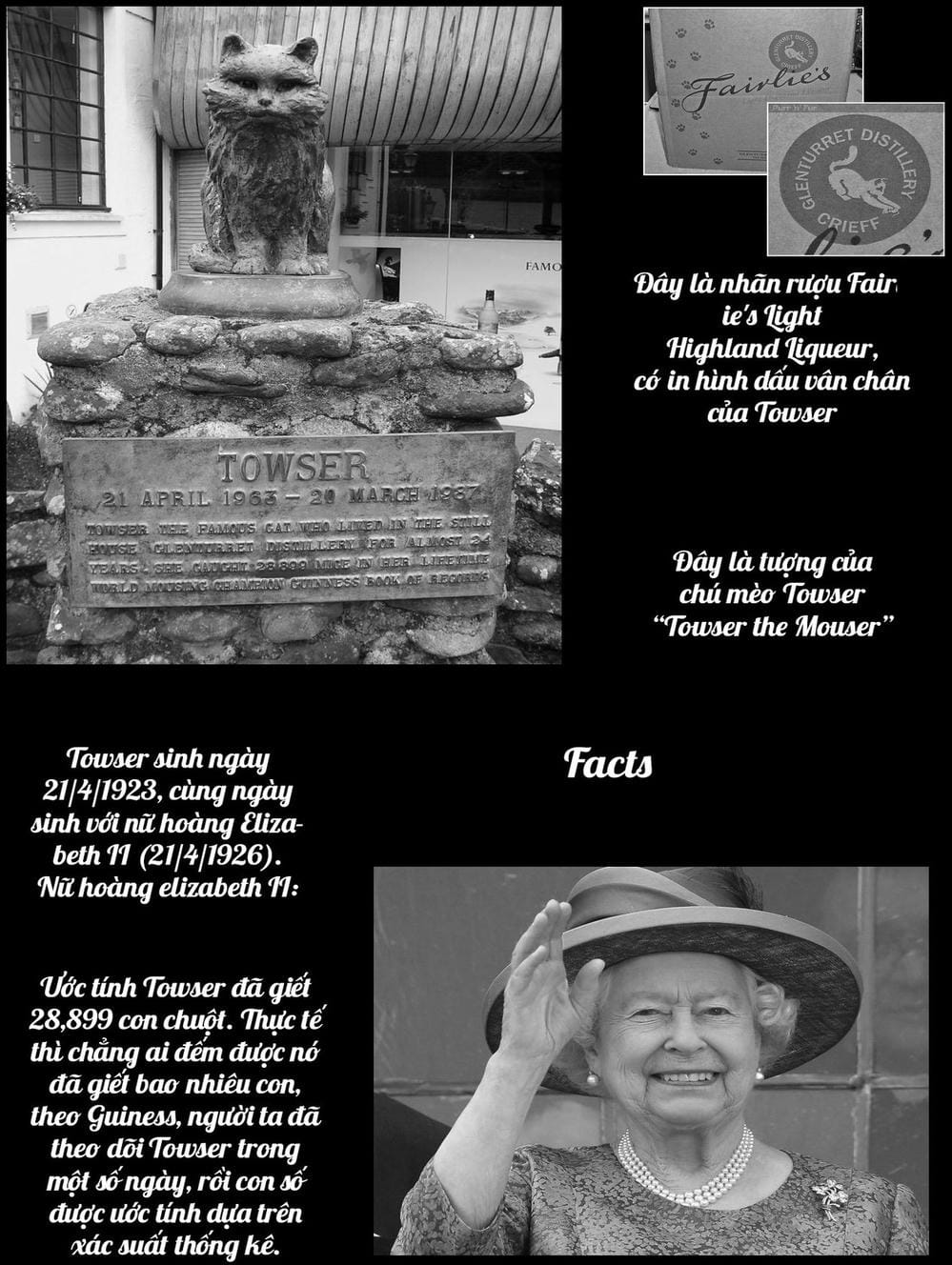 Truyện Tranh Bartender - Người Pha Chế Rượu trang 3