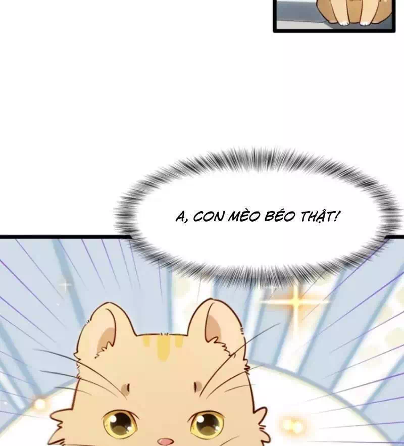 Truyện Tranh Bắt Đầu Đánh Dấu Hoang Cổ Thánh Thể trang 6