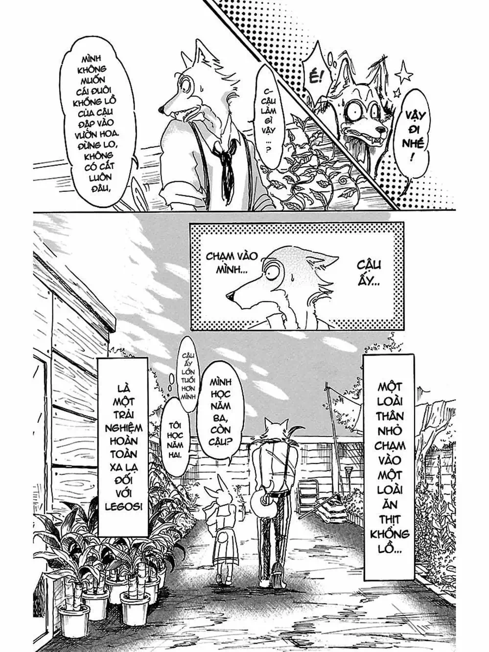 Truyện Tranh Bởi Vì Chúng Ta Đều Là Những Ngôi Sao - Beastars trang 10