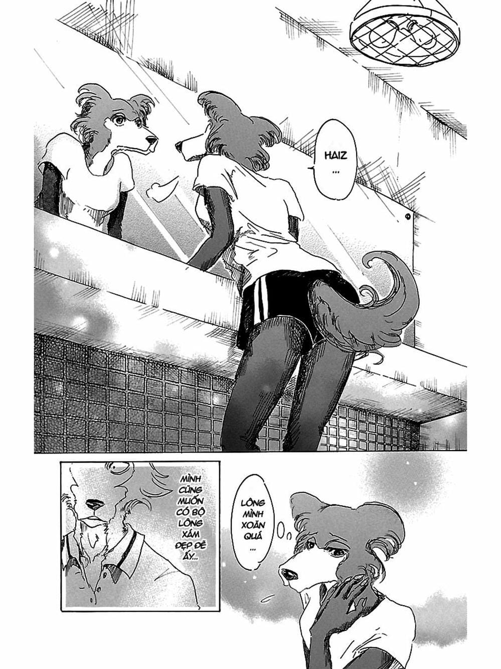 Truyện Tranh Bởi Vì Chúng Ta Đều Là Những Ngôi Sao - Beastars trang 10