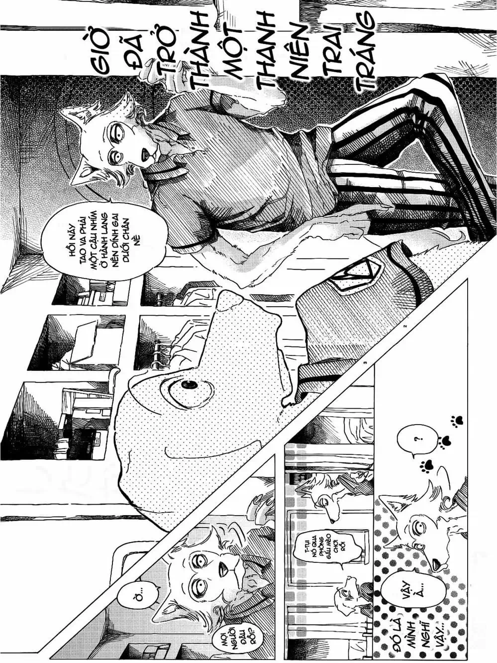 Truyện Tranh Bởi Vì Chúng Ta Đều Là Những Ngôi Sao - Beastars trang 10