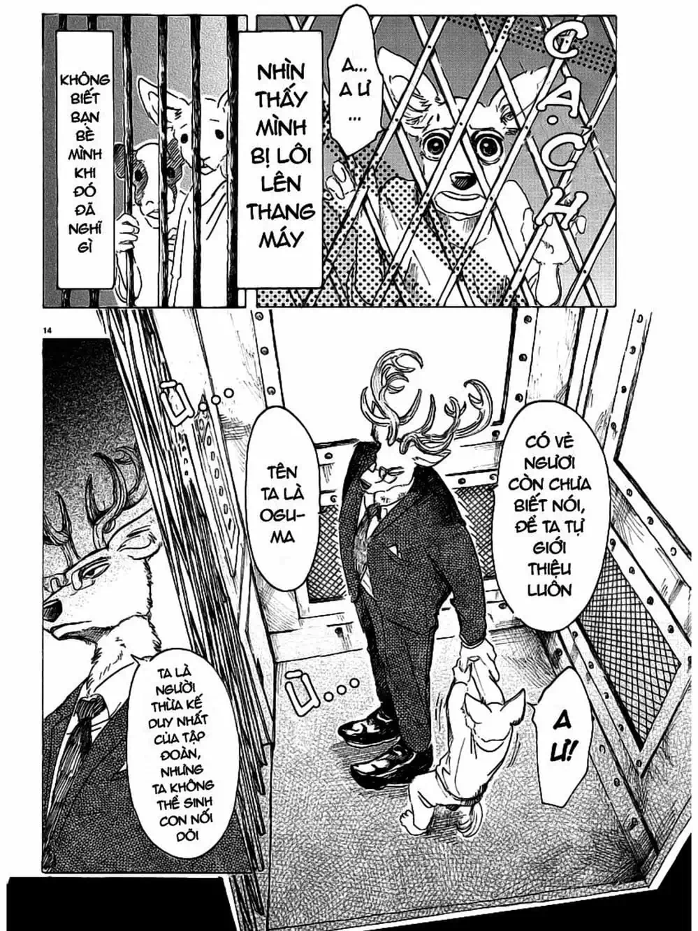 Truyện Tranh Bởi Vì Chúng Ta Đều Là Những Ngôi Sao - Beastars trang 10