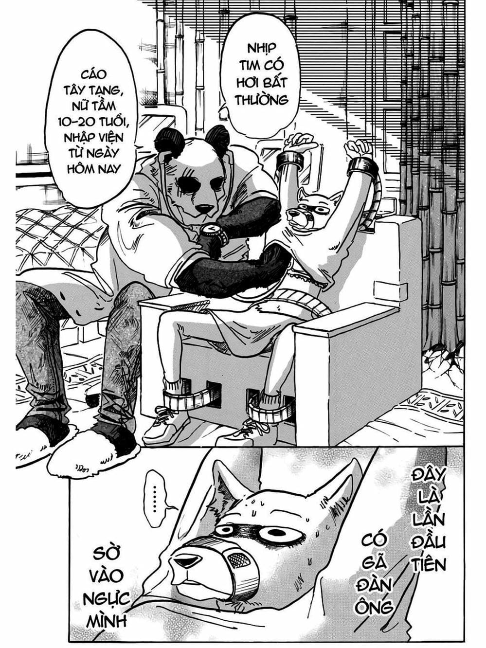 Truyện Tranh Bởi Vì Chúng Ta Đều Là Những Ngôi Sao - Beastars trang 10