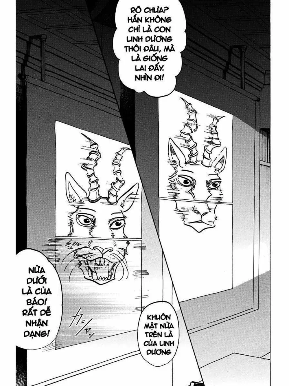 Truyện Tranh Bởi Vì Chúng Ta Đều Là Những Ngôi Sao - Beastars trang 10