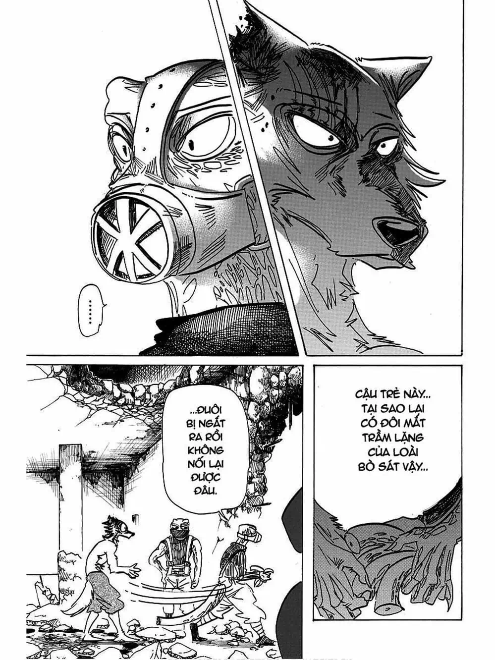 Truyện Tranh Bởi Vì Chúng Ta Đều Là Những Ngôi Sao - Beastars trang 10