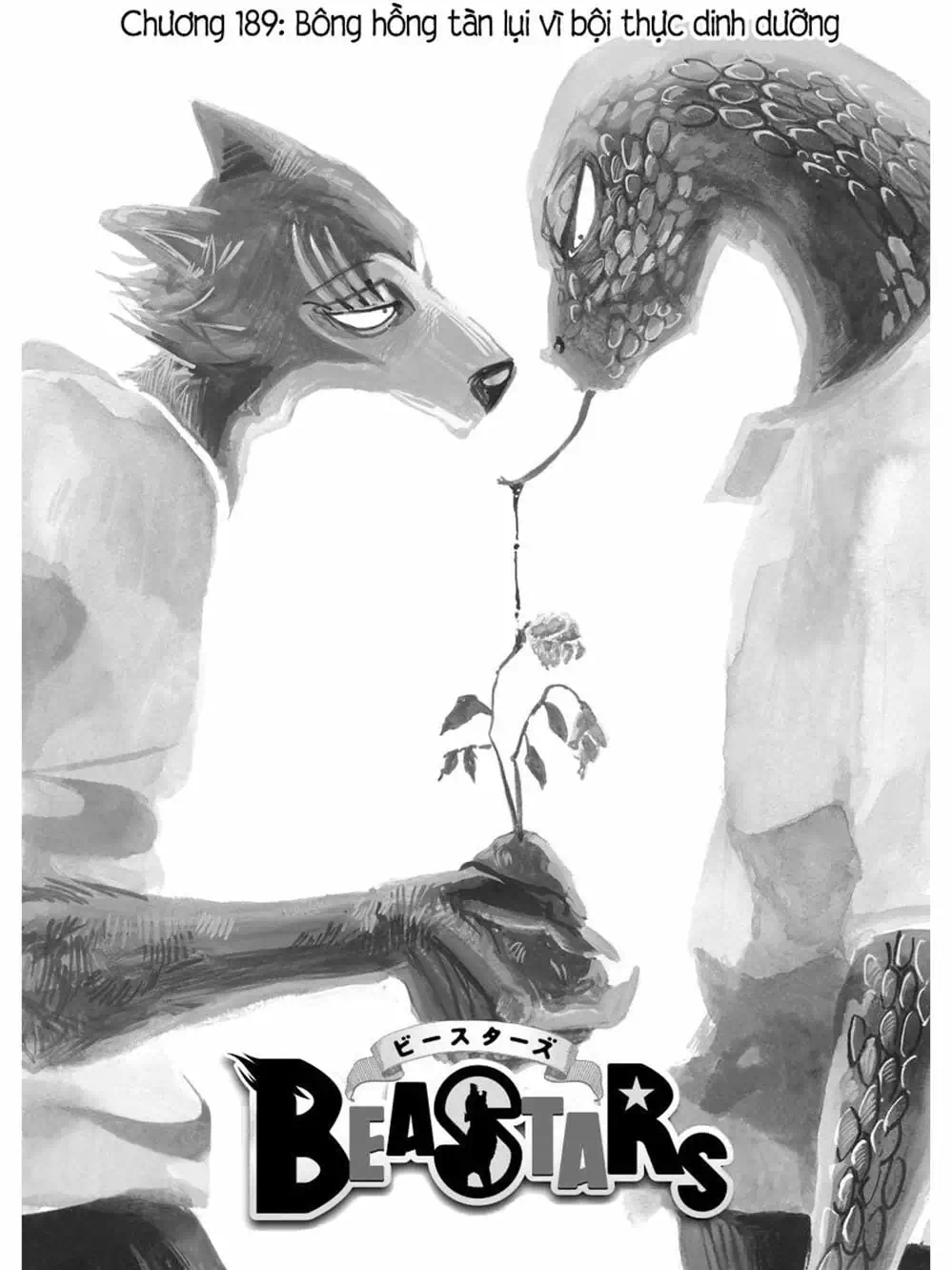 Truyện Tranh Bởi Vì Chúng Ta Đều Là Những Ngôi Sao - Beastars trang 10