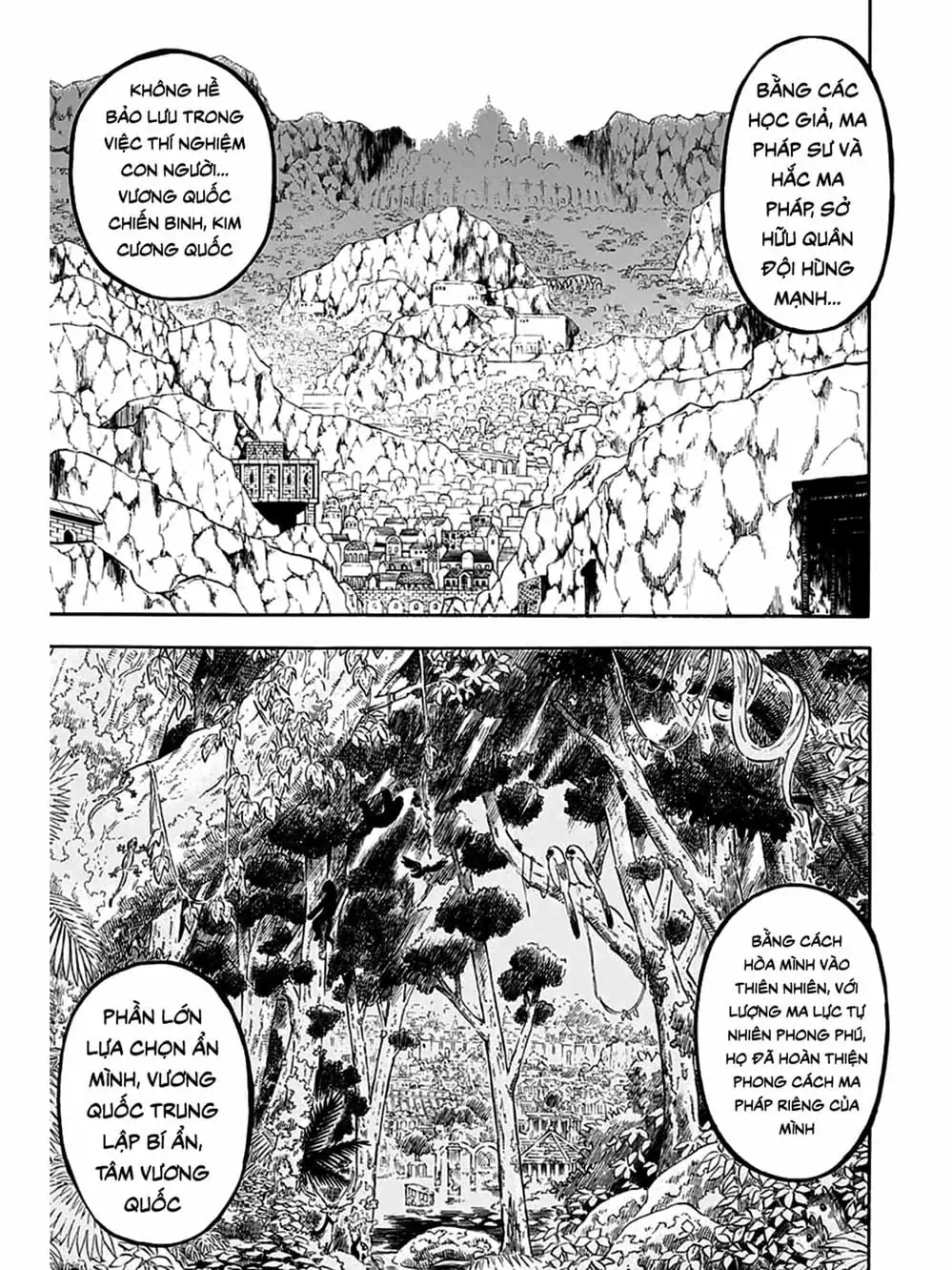 Truyện Tranh Pháp Sư Không Phép Thuật - Black Clover trang 5