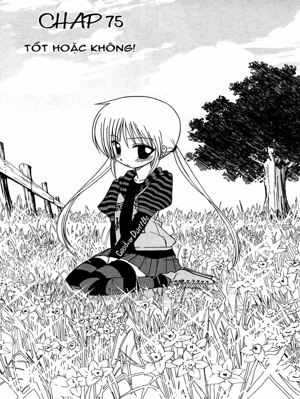 Truyện Tranh Chàng Quản Gia - Hayate No Gotoku trang 4