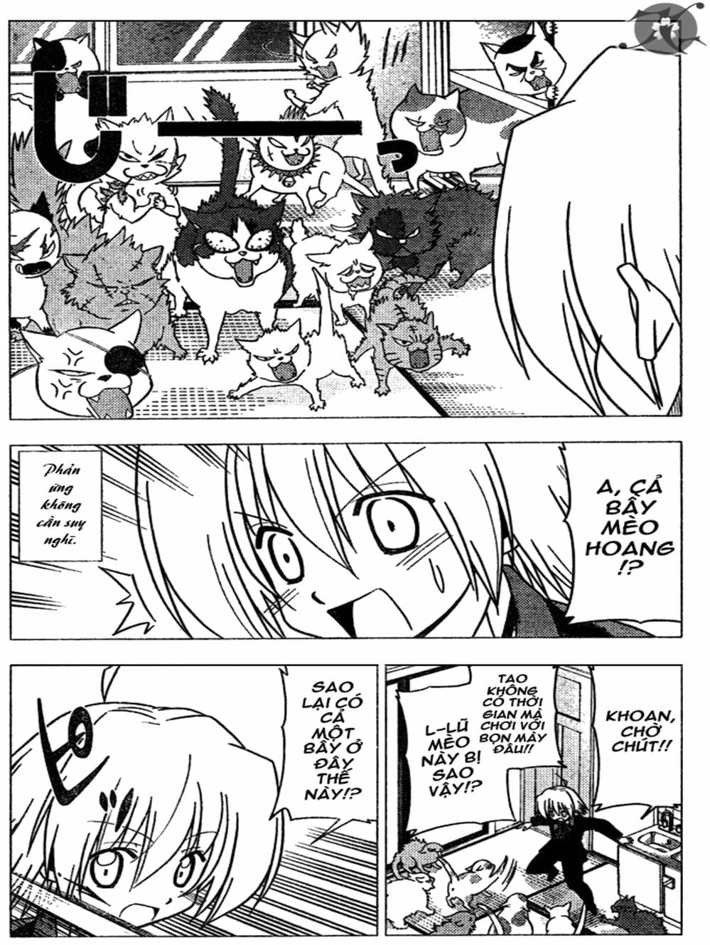 Truyện Tranh Chàng Quản Gia - Hayate No Gotoku trang 4