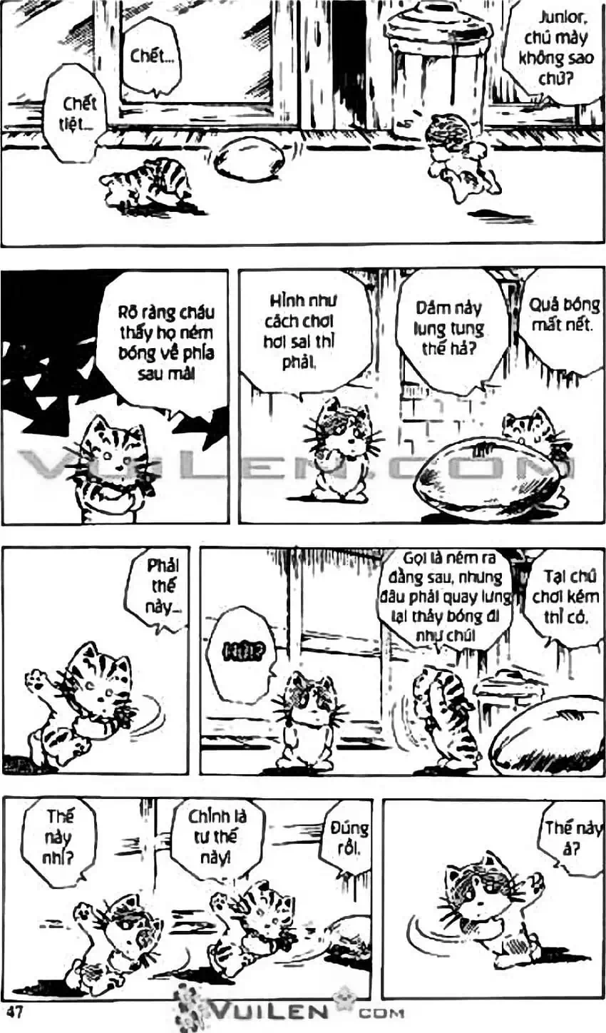 Truyện Tranh Chie - Cô Bé Hạt Tiêu trang 2