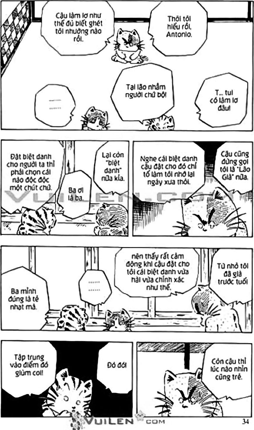 Truyện Tranh Chie - Cô Bé Hạt Tiêu trang 2