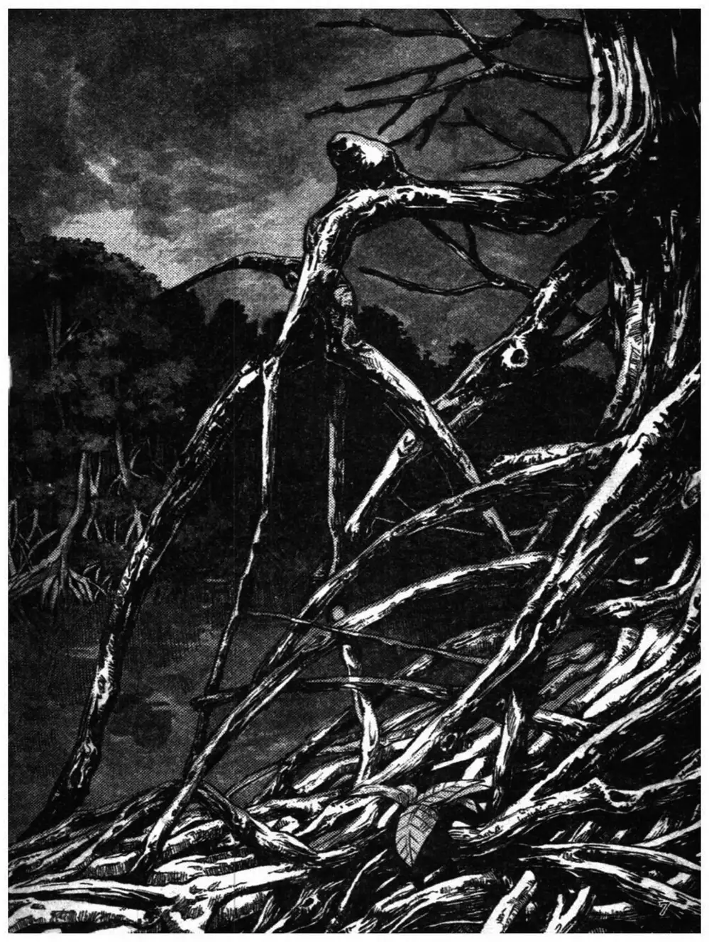 Truyện Tranh Truyện Tranh Chiếc Lược Ngà trang 2