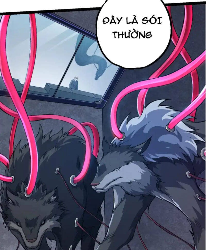 Truyện Tranh Chuyển Sinh Thành Liễu Đột Biến trang 9