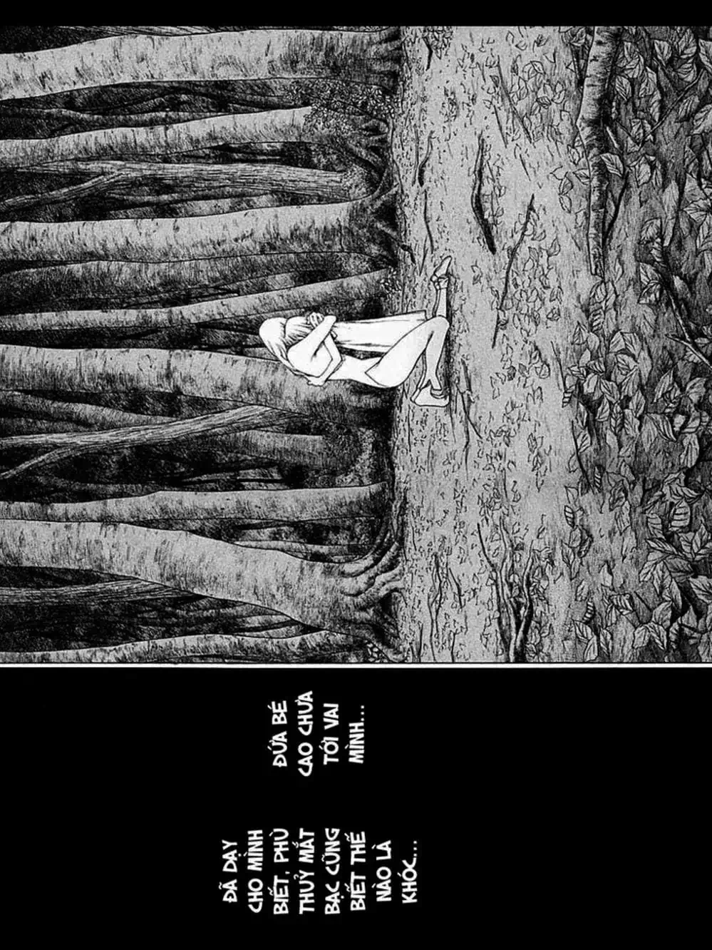 Truyện Tranh Claymore Mắt Bạc trang 4