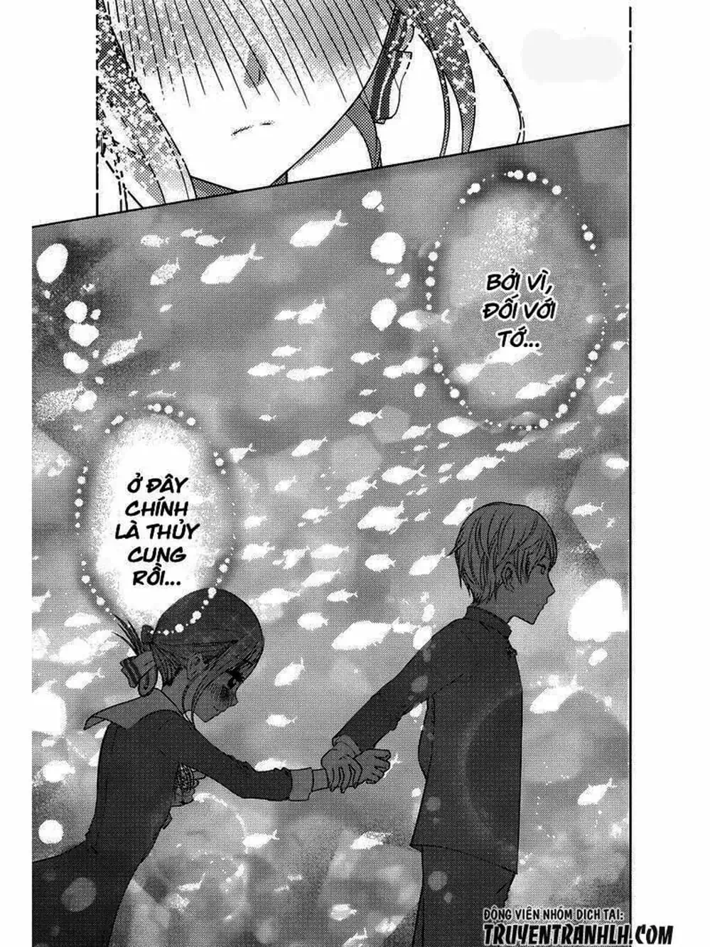 Truyện Tranh Cuộc Chiến Tỏ Tình - Kaguya-Sama: Love Is War trang 5