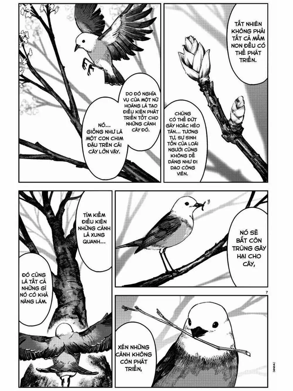 Truyện Tranh Trò Chơi Tiến Hóa - Darwin’s Game trang 5