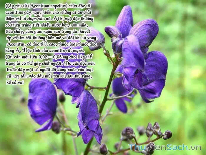 Truyện Tranh Học Viện Thám Tử Q - Detective Academy trang 6