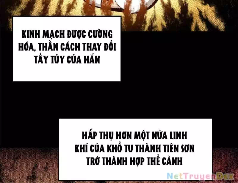 Truyện Tranh Đỉnh Cấp Khí Vận, Lặng Lẽ Tu Luyện Ngàn Năm trang 6