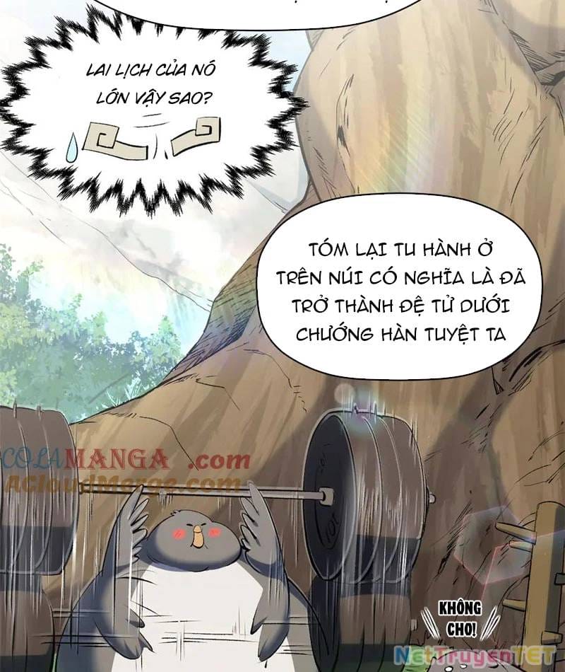 Truyện Tranh Đỉnh Cấp Khí Vận, Lặng Lẽ Tu Luyện Ngàn Năm trang 6