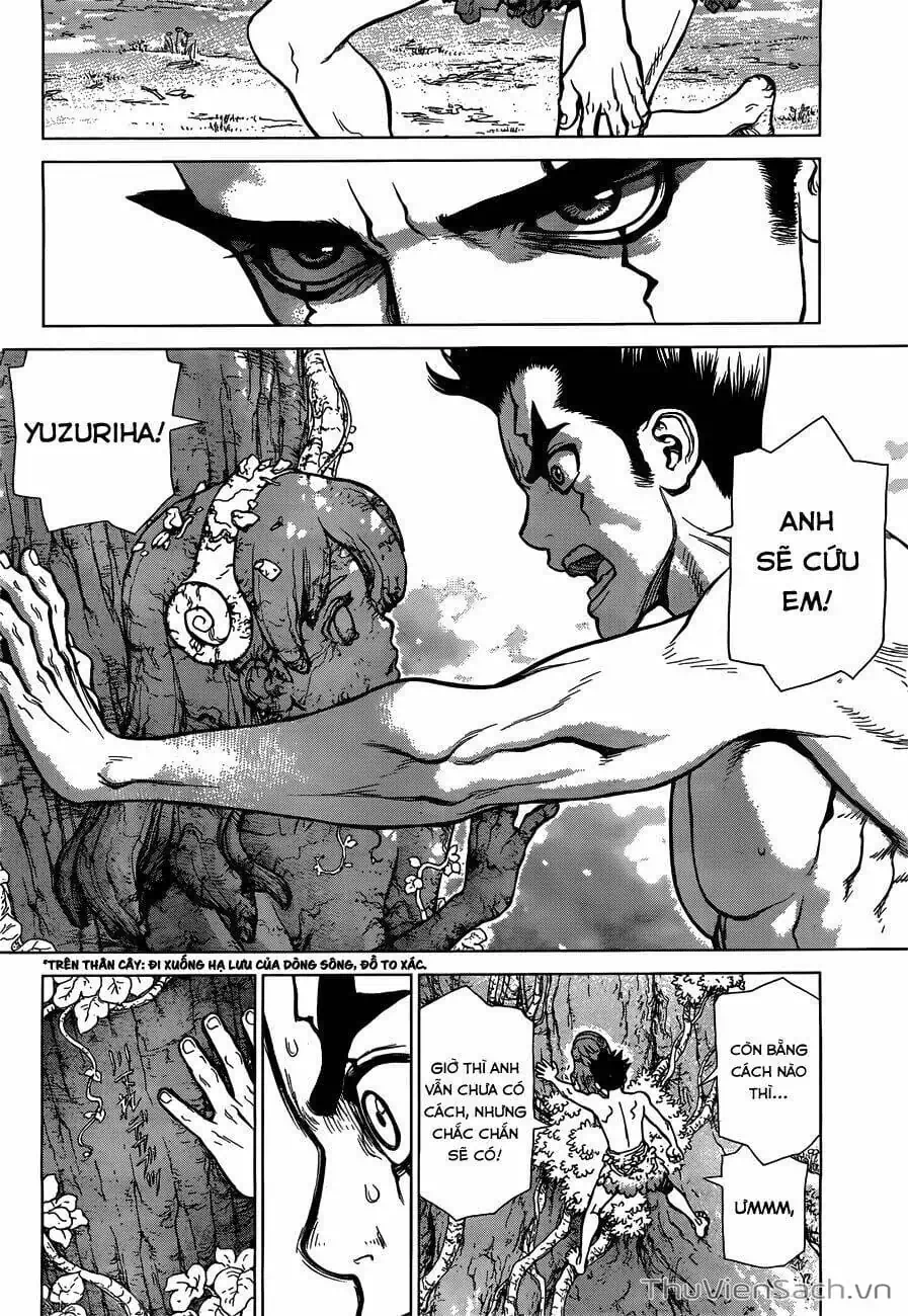 Truyện Tranh Dr. Stone - Hồi Sinh Thế Giới trang 3
