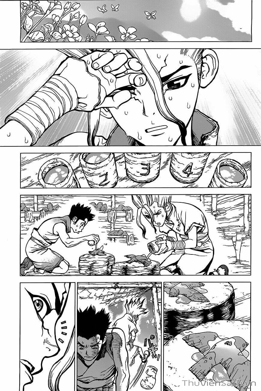 Truyện Tranh Dr. Stone - Hồi Sinh Thế Giới trang 3