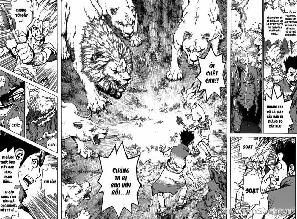 Truyện Tranh Dr. Stone - Hồi Sinh Thế Giới trang 3