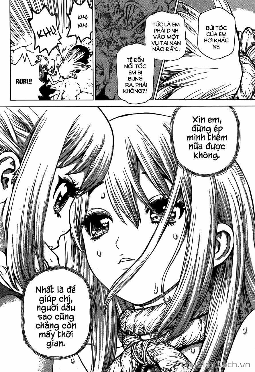 Truyện Tranh Dr. Stone - Hồi Sinh Thế Giới trang 3