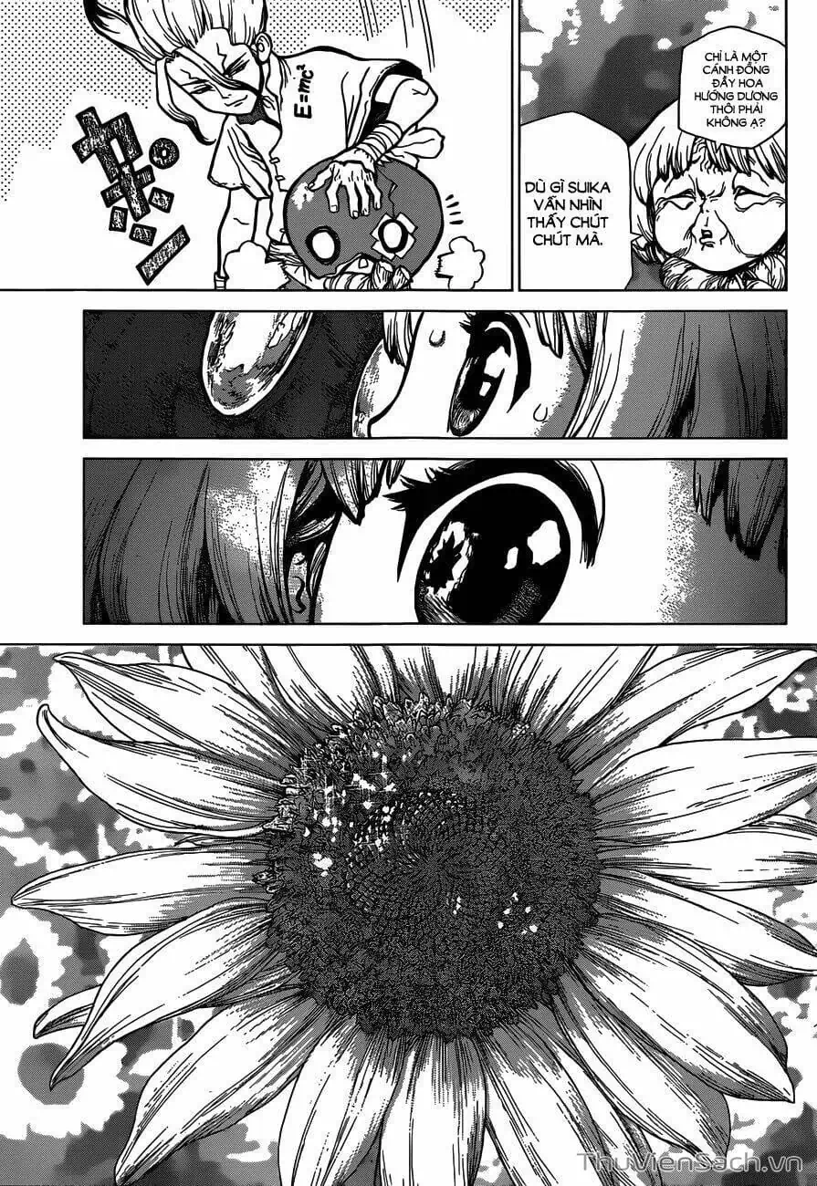 Truyện Tranh Dr. Stone - Hồi Sinh Thế Giới trang 3