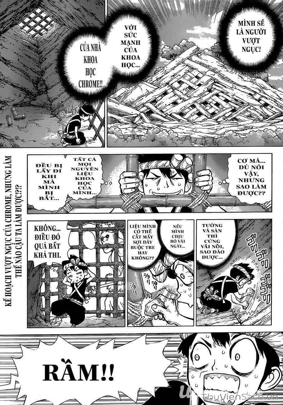 Truyện Tranh Dr. Stone - Hồi Sinh Thế Giới trang 3