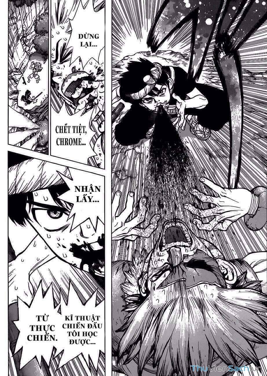 Truyện Tranh Dr. Stone - Hồi Sinh Thế Giới trang 3