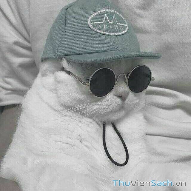 Truyện Tranh Dr. Stone - Hồi Sinh Thế Giới trang 3