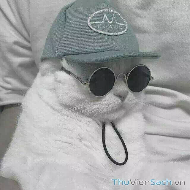 Truyện Tranh Dr. Stone - Hồi Sinh Thế Giới trang 3