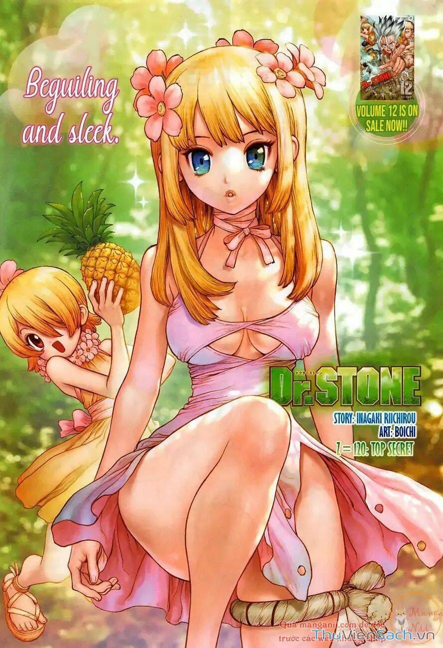 Truyện Tranh Dr. Stone - Hồi Sinh Thế Giới trang 3