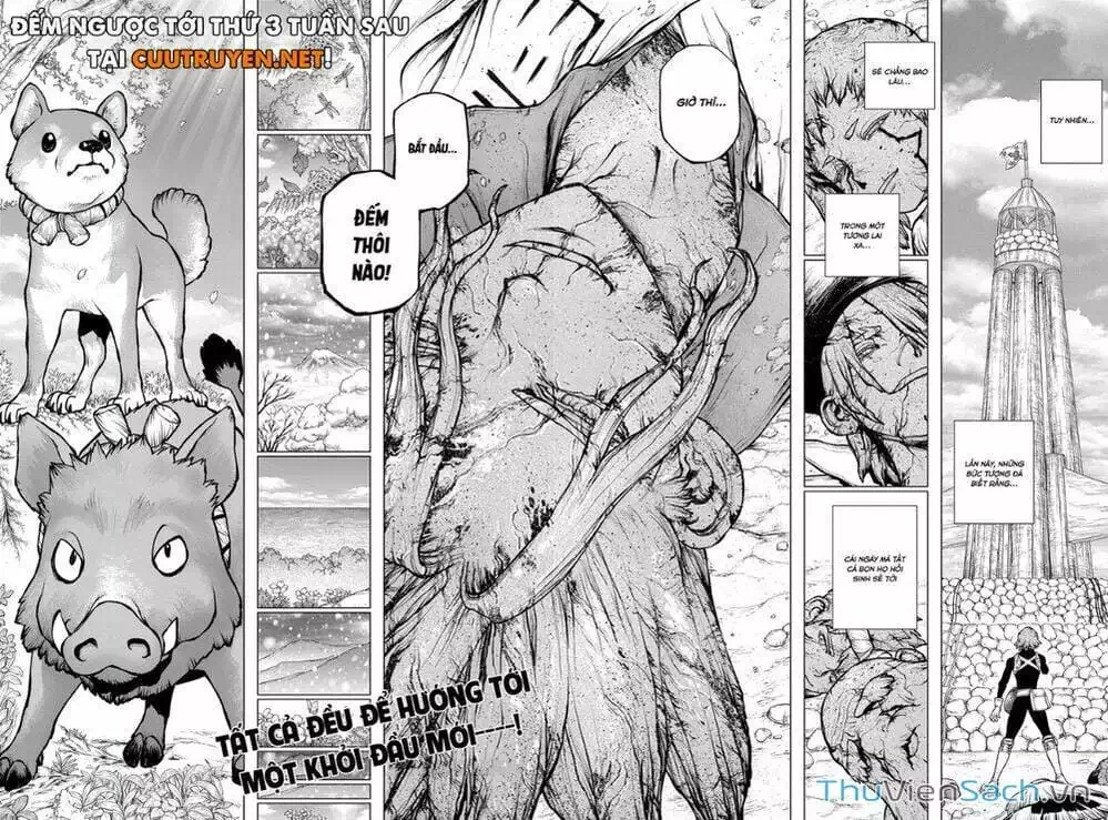 Truyện Tranh Dr. Stone - Hồi Sinh Thế Giới trang 3