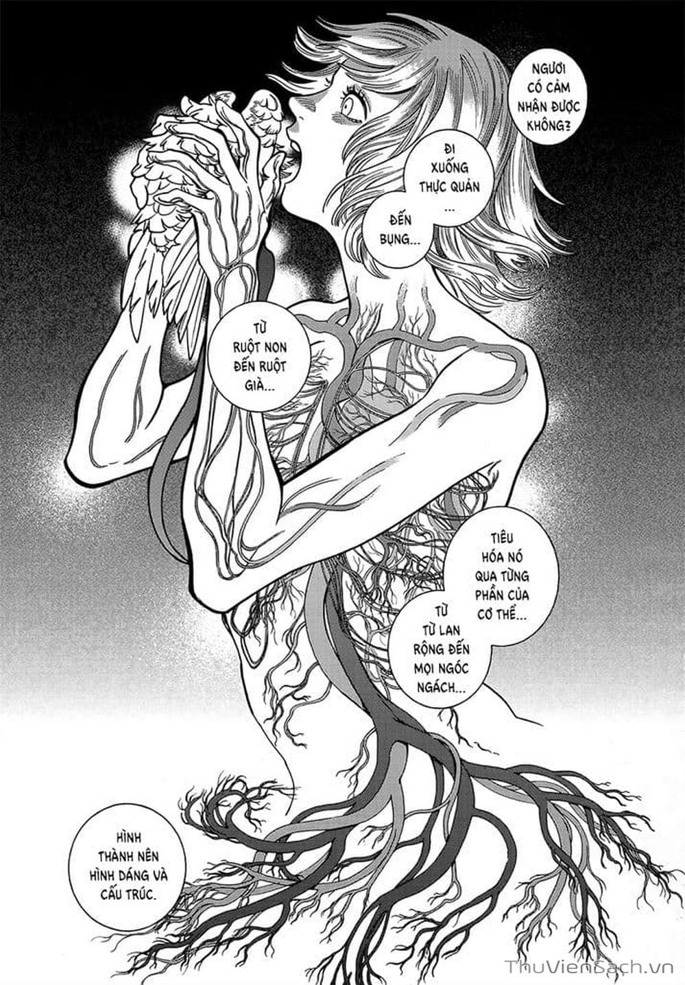 Truyện Tranh Mỹ Vị Hầm Ngục - Dungeon Meshi trang 4