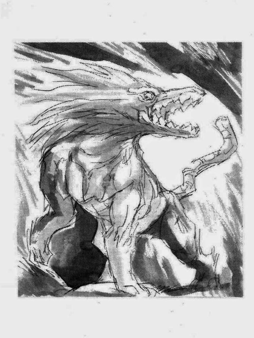 Truyện Tranh Vua Trên Biển - Full Ahead Coco trang 4