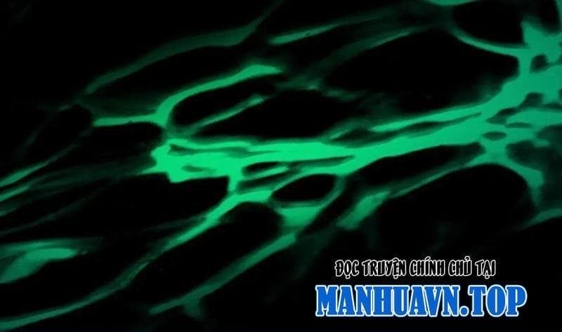 Truyện Tranh Gặp Mạnh Thì Càng Mạnh, Tu Vi Của Ta Không Giới Hạn trang 9