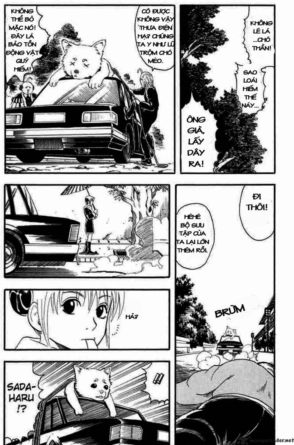 Truyện Tranh Gintama Linh Hồn Bạc: Luật Lệ Đặt Ra Là Để Phá Bỏ trang 7