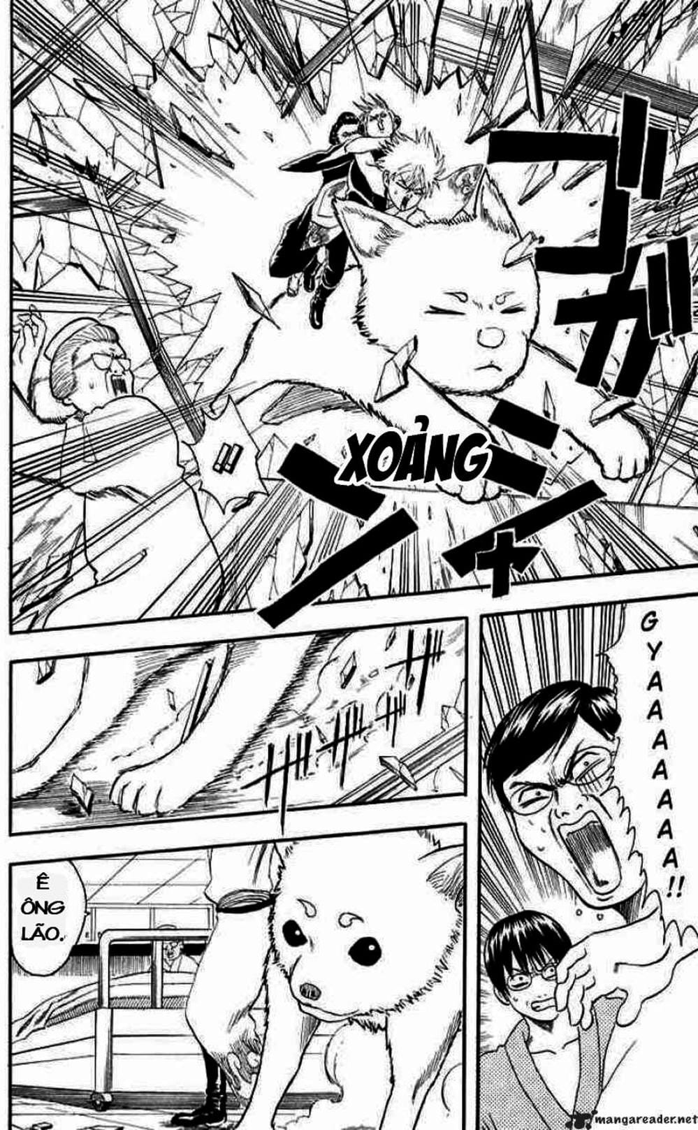 Truyện Tranh Gintama Linh Hồn Bạc: Luật Lệ Đặt Ra Là Để Phá Bỏ trang 7