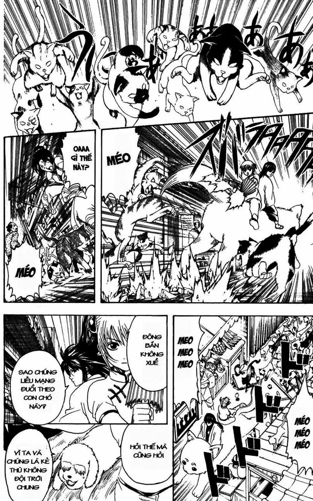 Truyện Tranh Gintama Linh Hồn Bạc: Luật Lệ Đặt Ra Là Để Phá Bỏ trang 7