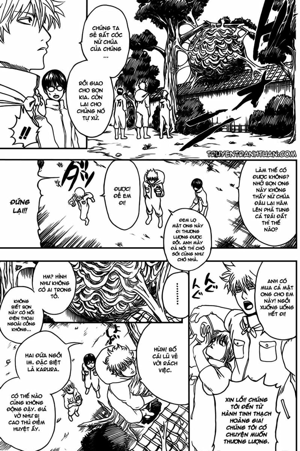 Truyện Tranh Gintama Linh Hồn Bạc: Luật Lệ Đặt Ra Là Để Phá Bỏ trang 7