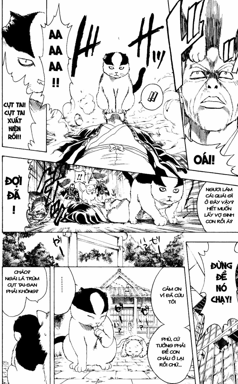Truyện Tranh Gintama Linh Hồn Bạc: Luật Lệ Đặt Ra Là Để Phá Bỏ trang 7