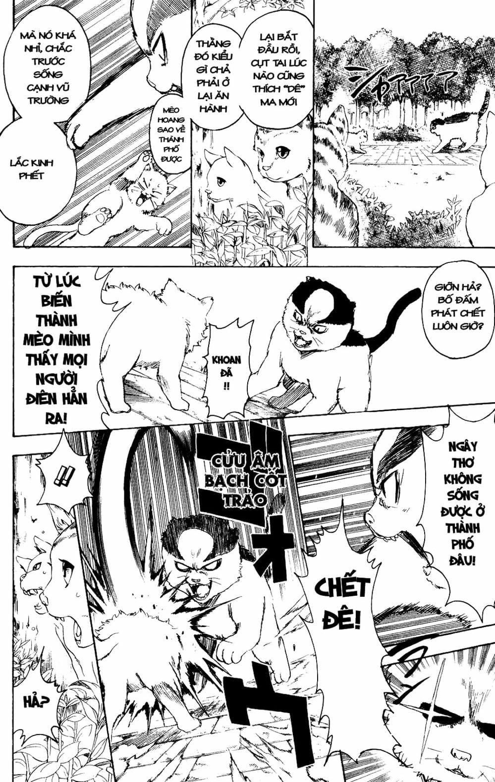 Truyện Tranh Gintama Linh Hồn Bạc: Luật Lệ Đặt Ra Là Để Phá Bỏ trang 7