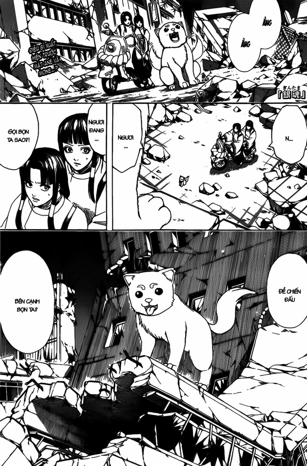 Truyện Tranh Gintama Linh Hồn Bạc: Luật Lệ Đặt Ra Là Để Phá Bỏ trang 7