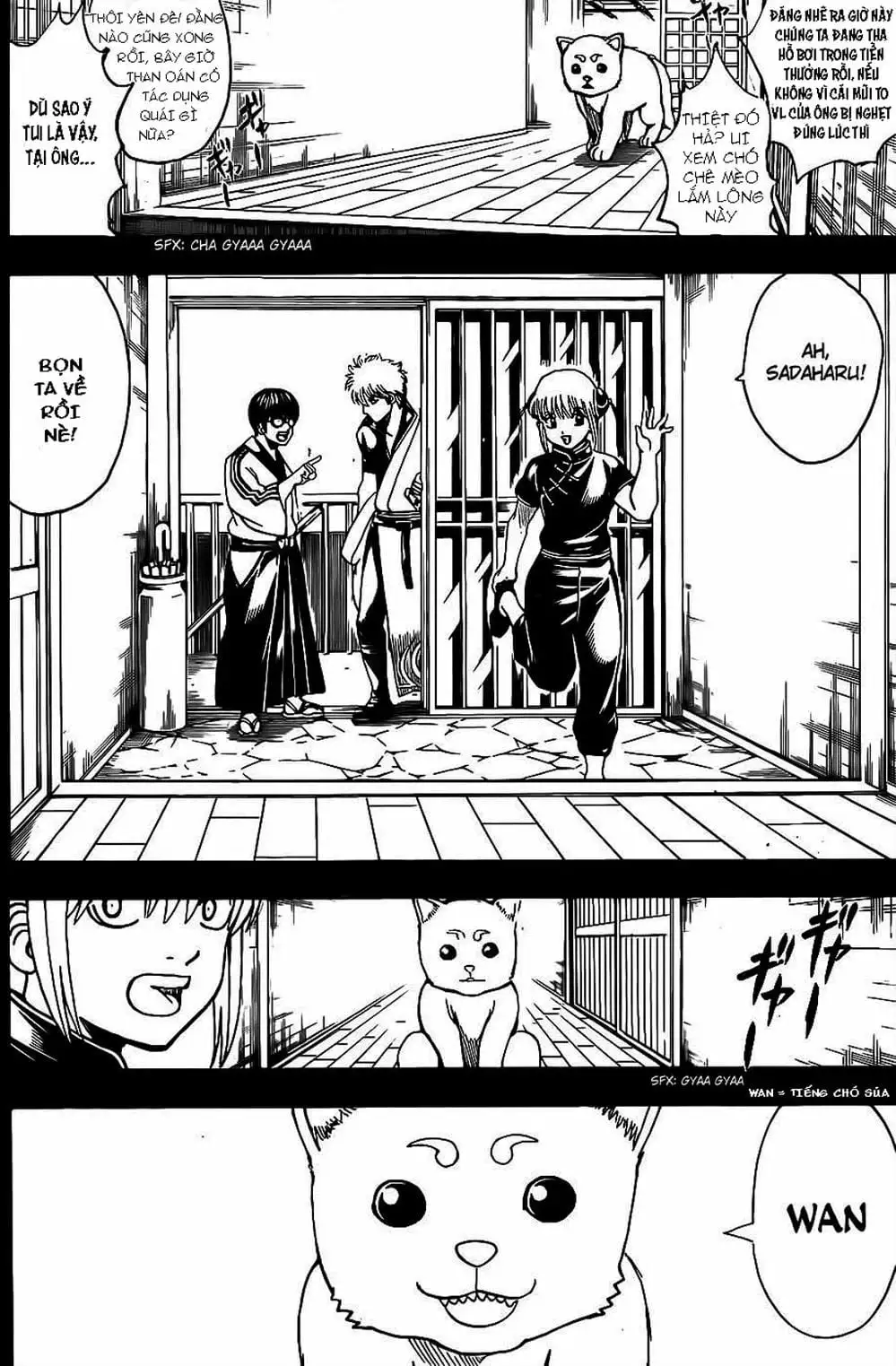 Truyện Tranh Gintama Linh Hồn Bạc: Luật Lệ Đặt Ra Là Để Phá Bỏ trang 7