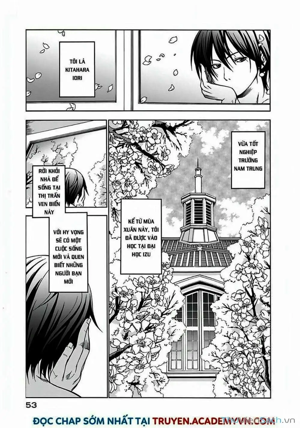 Truyện Tranh Cô Gái Thích Lặn - Grand Blue trang 3