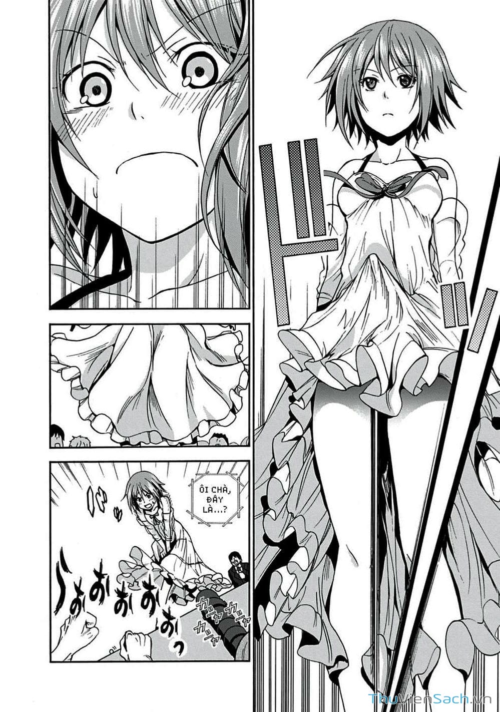 Truyện Tranh Cô Gái Thích Lặn - Grand Blue trang 3