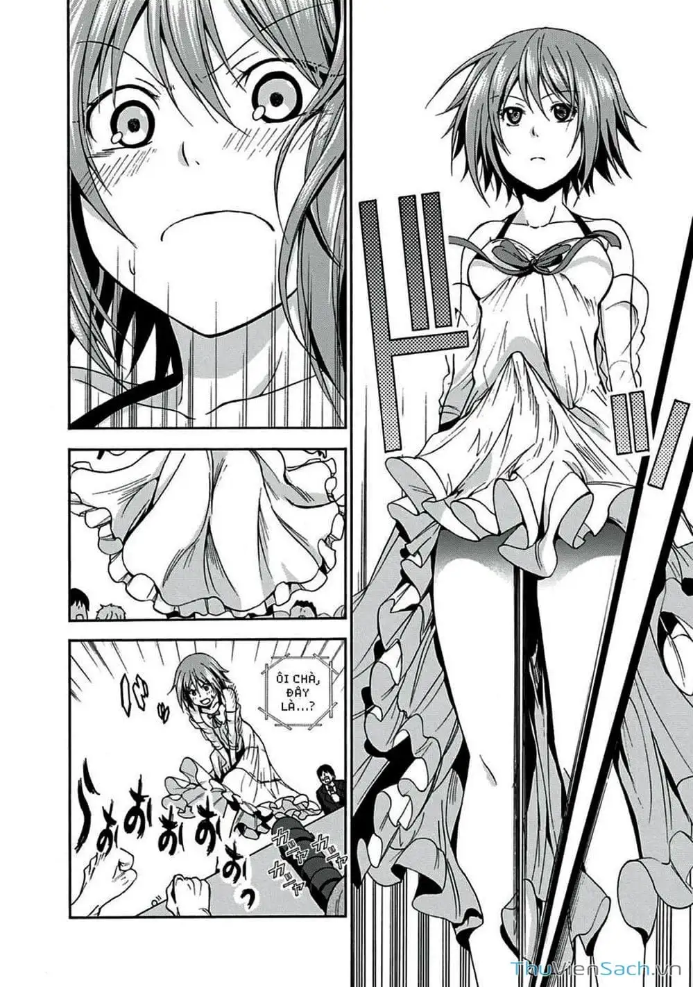 Truyện Tranh Cô Gái Thích Lặn - Grand Blue trang 3