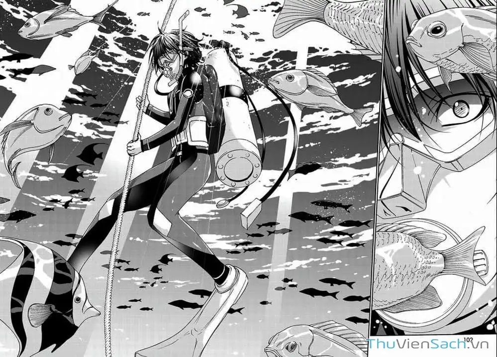Truyện Tranh Cô Gái Thích Lặn - Grand Blue trang 3